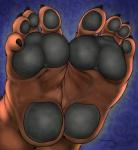 4_toes anthro barefoot black_pawpads brown_body brown_fur claws faceless_character feet foot_shot fur hindpaw male pawpads paws plantigrade slightly_chubby soles solo toe_claws toes jwolfsky goody2toad bear mammal 2015 artist_name hi_res