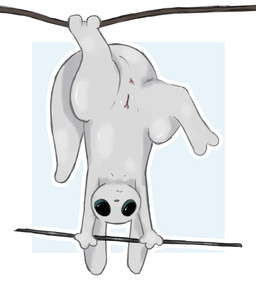 3_fingers anus big_tail female feral fingers genitals glistening glistening_body glistening_eyes glistening_skin huge_tail nude on_one_leg semi-anthro simple_background solo standing tail upside_down vulva white_body anonymous_artist rain_world videocult slugcat hi_res