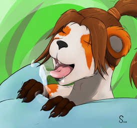 cunnilingus female interspecies lesbian licking oral oral_sex pandaren pussy sasq sex tongue troll vaginal video_games warcraft world_of_warcraft
Rating: Explicit
Score: 6
User: Justaguest
Date: July 26, 2013