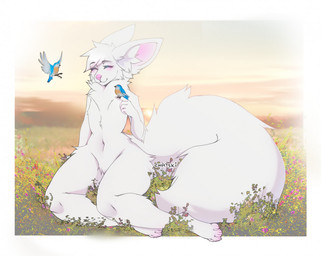 anthro belly big_ears blush field flower fluffy fluffy_fur fluffy_tail fur grass male navel paws pink_nose plant smile solo sunset tail white_body white_fur wide_hips chatski avian bird canid canine fox mammal full-length_portrait portrait