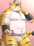 anthro asian_clothing belly big_belly blush bulge clothing east_asian_clothing fundoshi humanoid_hands japanese_clothing kemono male moobs navel nipples overweight overweight_male pink_nose solo underwear white_clothing white_fundoshi white_underwear inunodaidokoro felid mammal pantherine tiger 2023 hi_res