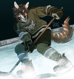 anthro brown_body brown_fur clothing ducktollers dutch_angle facial_markings footwear fur gloves hair handwear head_markings hockey_jersey hockey_stick ice_hockey ice_rink ice_skates male markings solo tail canid canine mammal maned_wolf 2026 digital_media_(artwork) hi_res signature