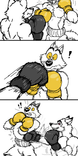 anthro boxing_gloves boxing_shorts clothing duo exclamation_point gut_punch handwear male punch simple_background white_background jarfox balto_(series) dreamworks the_bad_guys universal_studios kodiak_(balto) mr._wolf_(the_bad_guys) hi_res