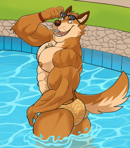 anthro big_muscles brown_body brown_fur butt clothing eyewear fur happy male muscular muscular_male nipples open_mouth open_smile outside partially_submerged smile solo speedo standing sunglasses swimming_pool swimwear tail water wristband darknaigart canid canine canis mammal wolf 2026 absurd_res colored digital_drawing_(artwork) digital_media_(artwork) hi_res