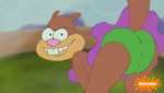 anthro bikini brown_body brown_fur buckteeth butt clothing female fur looking_at_viewer parody solo swimwear tail teeth two-piece_swimsuit unknown_artist nickelodeon spongebob_squarepants sandy_cheeks mammal rodent sciurid animated webm