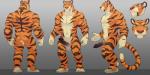 2:1 anthro digital_media_(artwork) erection escort_(luvbites)_(character) felid genitals green_eyes hi_res humanoid_genitalia humanoid_penis luvbites male mammal model_sheet muscular muscular_male nude pantherine penis shaded solo stripes tiger wolfy-nail