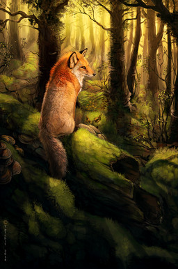 ambiguous_gender black_nose day detailed_background digitigrade feet feral forest fur grass hindpaw inner_ear_fluff leg_markings log long_mouth markings nature no_sclera orange_body orange_eyes orange_fur outside paws plant shadow sitting snout socks_(marking) solo tree tuft whiskers white_body white_fur wood nukerooster canid canine fox mammal red_fox true_fox 2014 hi_res