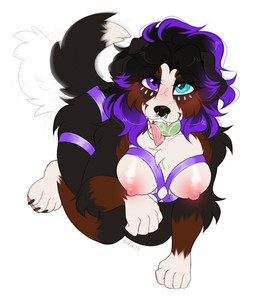 anthro ball bdsm big_breasts blush bodily_fluids breasts drooling facial_piercing female fetch harness heterochromia looking_at_another nipples nose_piercing petplay piercing roleplay saliva septum_piercing solo tail tail_motion tailwag tennis_ball tennis_ball_in_mouth barkie freya_berner bernese_mountain_dog canid canine canis domestic_dog mammal molosser mountain_dog swiss_mountain_dog