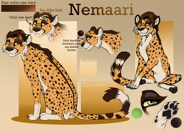 ambiguous_feral ambiguous_gender black_pawpads brown_hair facial_spots feral fur glistening glistening_eyes grey_eyes hair looking_at_viewer markings mouth_closed pawpads side_view sitting solo spots spotted_back spotted_body spotted_face spotted_fur spotted_legs spotted_markings spotted_tail striped_markings striped_tail stripes tail tail_markings text whiskers kodaac nemaari cheetah felid feline mammal english_text hi_res model_sheet