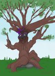 inanimate_transformation male plant plant_transformation solo transformation tree tree_transformation ashwolves5 pardio crux elemental_creature flora_fauna humanoid treant hi_res