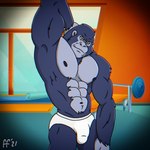 abs anthro barazoku biped black_body black_fur black_nipples briefs briefs_only bulge clothed clothing detailed_bulge fur genital_outline grey_body hand_behind_head male mouth_closed muscular muscular_anthro muscular_male navel nipples pecs penis_outline pose snaggle_tooth solo topless topless_anthro topless_male underwear underwear_only white_briefs white_clothing white_underwear fabfelipe ape gorilla haplorhine mammal primate 1:1 2021 digital_drawing_(artwork) digital_media_(artwork) hi_res pinup
