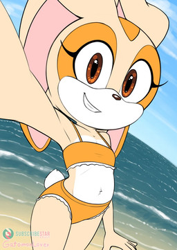 anthro beach bikini biped black_nose breasts clothed clothing countershade_face countershade_fur countershade_torso countershading day dipstick_ears ear_markings eye_markings female floppy_ears front_view fur holding_viewer loli looking_at_viewer lop_ears markings multicolored_body multicolored_ears navel orange_bikini orange_clothing orange_markings orange_swimwear outside pose scut_tail selfie short_tail small_breasts smile solo standing swimwear tail tan_body tan_fur text two-piece_swimsuit two_tone_body water white_body white_countershading white_fur young young_anthro young_female mikitng sega sonic_the_hedgehog_(series) subscribestar cream_the_rabbit lagomorph leporid mammal rabbit 2025 artist_name colored digital_drawing_(artwork) digital_media_(artwork) signature