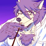 anthro breast_pocket chest_tuft clothing eyewear food fur glasses grey_body grey_fur grey_hair hair looking_at_viewer male shirt solo topwear tuft white_body white_clothing white_fur white_shirt white_topwear run_aki morenatsu pocky mitsuhisa_aotsuki canid canine canis domestic_dog husky mammal nordic_sled_dog spitz 1:1 2023 low_res