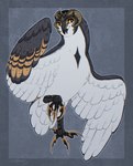 ambiguous_gender armor battle_claws beak diamond_(marking) feathered_wings feathers feral grey_background grey_body grey_feathers headgear helmet horn horned_helmet markings open_beak open_mouth orange_eyes simple_background solo tail tail_feathers white_body white_feathers wings slumbers guardians_of_ga'hoole fan_character avian barn_owl bird owl tyto tytonid digital_drawing_(artwork) digital_media_(artwork) flat_colors full-length_portrait hi_res portrait