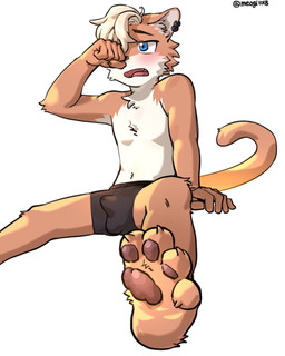 anthro balls_outline barefoot black_short blue_eyes blush bottomwear bulge claws clothed clothing detailed_bulge ear_piercing embarrassed erection erection_under_clothing fangs feet genital_outline kemono male morning_wood open_mouth pawpads paws penis_outline piercing shorts shorts_only simple_background sitting solo spread_legs spreading tail teeth tongue topless topless_male waking_up white_background meogi domestic_cat felid feline felis mammal 2025 english_description hi_res