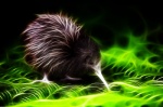 ambiguous_gender beak black_body black_fur feral fractal fur glowing solo pandapounce avian bird kiwi_(bird) ratite