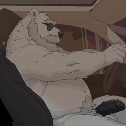 anthro beard belly black_penis bus bus_driver car commercial_vehicle driving driving_nude eyewear eyewear_only facial_hair foreskin fur genitals inside_car inside_vehicle looking_at_viewer male mustache nude overweight overweight_anthro overweight_male penis pubes solo sunglasses sunglasses_only vehicle white_body white_fur myuger password_(visual_novel) liam_(password) bear mammal polar_bear ursine 1:1 digital_media_(artwork) hi_res pixel_(artwork)