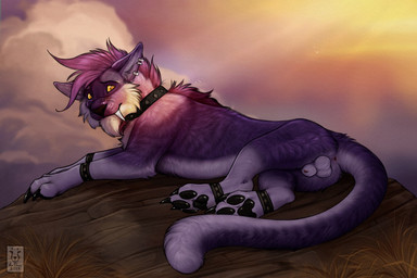 3_toes amber_eyes anatomically_correct anatomically_correct_genitalia animal_genitalia anklet anus balls black_nose black_pawpads bracelet butt claws cloud collar day detailed_background digitigrade ear_piercing ear_ring eyebrows facial_scar fangs feet feral fully_sheathed fur genitals grass hair jewelry looking_back lying male on_side outside pawpads paws piercing plant purple_body purple_fur purple_hair ring_piercing rock scar sheath sky solo sunset teeth toe_claws toes yellow_sclera anchee felid feline mammal 2019 digital_media_(artwork) watermark