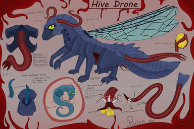 antennae_(anatomy) drone egg erection feral genitals herm hive intersex multi_genitalia multi_penis open_mouth ovipositor penis simple_background solo tail tentacle_ovipositor tentacles text wings rubin_owl alien arthropod insect monster unknown_species 3:2 absurd_res digital_media_(artwork) english_text hi_res model_sheet
