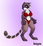 bra clothed clothing female fur panties simple_background skimpy solo underwear kersync guardians_of_the_galaxy marvel captain_sale mammal procyonid raccoon hi_res