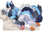 after_kiss anthro blue_body blush bodily_fluids bottomwear clothing duo grey_body hair happy hug kemono lying male male/male on_back on_front open_mouth open_smile orange_pawpads pawpads pillow pink_pawpads saliva saliva_string shirt shorts smile t-shirt three-quarter_view topwear angry_app mythology ajiaocat(character) rancerayk0314_(character) canid canine dragon fox mammal mythological_creature mythological_scalie scalie 4:3