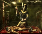 anthro blood bodily_fluids cock_and_ball_torture death egyptian genital_mutilation genital_torture gore gore_focus group horror_(theme) killing male mutilation penectomy puppet snuff tail selker egyptian_mythology middle_eastern_mythology mythology selker_ari anubis selker_(character) anubian_jackal canid canine canis deity jackal mammal undead zombie 5:4