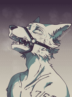 anthro ball_gag fangs fur gag male muzzle_gag open_mouth solo tattoo teeth spicedpopsicle beastars legoshi_(beastars) canid canine canis mammal wolf hi_res