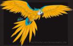 ambiguous_gender avian beak bird feathered_wings feathers feral flying kotenokgaff parrot solo spread_wings text url wings