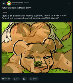 anthro ass_up black_eyes bodily_fluids butt butt_from_the_front canon_couple doggystyle duo female from_behind_position front_view grass green_sclera hand_on_butt hand_print kneeling kneeling_on_ground leapfrog_position low-angle_view lying lying_on_grass male male/female motion_lines nude on_front on_grass on_ground online plant raised_tail reddit_logo screencap selfie selfie_during_intercourse sex shadow spank_marks spank_marks_on_ass sweat tail text under_shade jefferystrange animalympics reddit kit_mambo rene_fromage arthropod beetle bovid caprine felid feline goat insect lion mammal pantherine 2026 absurd_res english_text hi_res