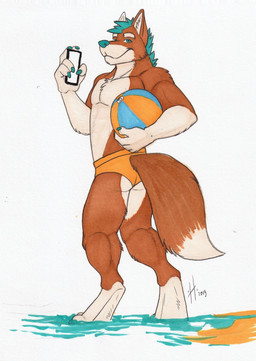 anthro athletic athletic_anthro athletic_male bottomwear brown_background brown_body brown_fur brown_tail cellphone clothed clothing dipstick_tail electronics fur hair holding_beach_ball holding_cellphone holding_object holding_phone holding_smartphone looking_at_viewer male male_anthro markings mouth_closed orange_bottomwear orange_clothing phone short_hair simple_background smartphone solo standing tail tail_markings teal_eyes teal_hair teal_nose topless water white_body white_fur white_tail hufnaar canid canine mammal 2019 dated full-length_portrait hi_res portrait