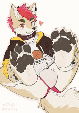 anthro anus black_clothing black_pawpads black_topwear bulge clothing collar detailed_bulge genital_outline jockstrap male pawpads penis_outline red_eyes solo topwear underwear milkybot canid canine canis mammal hi_res
