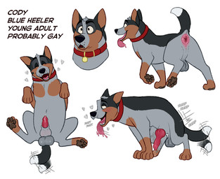 animal_genitalia animal_penis anus balls big_balls blush blush_lines bodily_fluids breath canine_genitalia canine_penis collar darkened_balls darkened_genitalia dripping erection feral genital_fluids genitals half-erect heart_symbol humping knot knot_in_sheath knotted_penis leaking_precum lying male motion_lines on_back panting pawpads paws pelvic_thrust penis precum precum_drip sheath solo tail tail_motion tailwag text tongue tongue_out badfurgood cody_(badfurgood) australian_cattle_dog canid canine canis cattledog domestic_dog herding_dog mammal pastoral_dog english_text hi_res