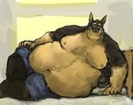 anthro arm_support bed belly big_belly black_body black_fur brown_body brown_fur clothed clothing fur furniture inside love_handles lying lying_on_bed male moobs navel nipples obese obese_anthro obese_male on_bed on_side overweight overweight_anthro overweight_male smile solo topless aokamidu canid canine canis dobermann domestic_dog mammal pinscher