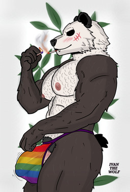 abs anthro balls balls_outline belly_hair big_balls big_bulge big_penis biped black_body black_fur body_hair bulge chest_hair cigarette clothing detailed_bulge fur genital_outline genitals glans humanoid_genitalia humanoid_penis lgbt_pride male male_anthro match muscular muscular_anthro muscular_male pecs penis penis_base penis_outline pride_color_clothing pride_colors pubes smoking smoking_cigarette solo thong translucent translucent_clothing translucent_underwear underwear vein veiny_penis white_body white_fur ivan_the_artist beastars lgbt_pride_month gouhin_(beastars) bear giant_panda mammal hi_res