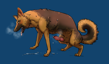 animal_genitalia animal_penis balls blush bodily_fluids canine_genitalia canine_penis censor_bar erection feral fur genital_fluids genitals ineffective_censorship knot male multicolored_body multicolored_fur open_mouth penis precum rounded_back solo sweat tongue tongue_out two_tone_body two_tone_fur yellow_eyes denmoko canid canine canis domestic_dog mammal censored hi_res