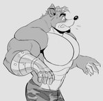 abs anthro bottomwear clothed clothing facial_hair fur male muscular muscular_male simple_background solo topless topless_male polartoons activision crash_bandicoot_(series) crunch_bandicoot bandicoot mammal marsupial hi_res monochrome