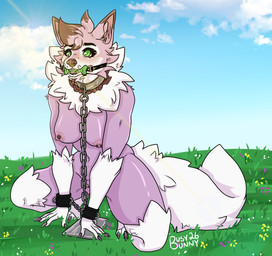 anthro bone_gag bound chain chained collar cuffs_(clothing) dipstick_ears dipstick_hair ear_markings female fur gag green_eyes jewelry metal_collar multicolored_ears necklace nipple_piercing nipples outside piercing public public_exposure purple_body purple_fur solo spread_legs spreading white_body white_fur busybunny nintendo pokemon generation_7_pokemon lycanroc midday_lycanroc pokemon_(species) hi_res
