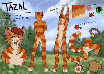 anthro butt clothing collar ear_piercing eyes_closed feet fingers fur male nude open_mouth pawpads piercing pronouns shirt smile solo standing stated_age stated_height stated_pronouns stretching tail teeth text toes topwear whiskers tazal tazal_(character) domestic_cat felid feline felis mammal character_name digital_media_(artwork) english_text hi_res model_sheet