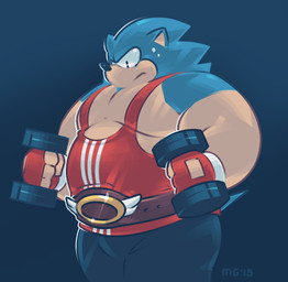 anthro biped black_nose blue_body bodily_fluids bottomwear clothing exercise male musclegut muscular overweight overweight_male pants shirt solo sweat topwear workout greenendorf sega sonic_the_hedgehog_(series) sonic_the_hedgehog eulipotyphlan hedgehog mammal 2015