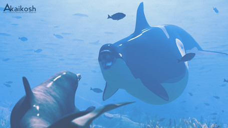 belly big_belly blue_background blue_body blue_fin coral_reef dolphin_tail dorsal_fin female feral fin grey_body group huge_belly simple_background trio underwater vore water white_belly akaikosh yano_(dolphinproject) anthozoan aquatic cetacean cnidarian coral dolphin mammal oceanic_dolphin orca toothed_whale 16:9 2021 3d_(artwork) digital_media_(artwork) hi_res watermark widescreen