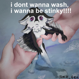 3_fingers 3_toes 4_ears 5_fingers ambiguous_gender anthro anthro_focus bath bathing bathing_another bathroom bathtub black_body black_claws black_feathers black_finger_claws black_fur black_sclera bodily_fluids bubble caption chest_tuft chibi claws countershading crying disembodied_hand duo exclamation_point extreme_size_difference faceless_ambiguous faceless_character faceless_human feathered_wings feathers feet fingers first_person_view fluffy forced front_view fur grabbing hair holding_another holding_character human_pov humanoid_hands humor larger_ambiguous larger_human long_tail looking_at_viewer mouth_closed multi_ear multicolored_body nervous nude nude_anthro partially_submerged purple_eyes sad scared simple_background size_difference smaller_anthro soap solo_focus standing tail tears text toes tuft tufted_fur water wet white_body white_feathers white_fur white_text winged_arms wings tenik_tea fyr_(fenrir784) avali avian bird human mammal 1:1 2026 artist_name colored digital_drawing_(artwork) digital_media_(artwork) english_text full-length_portrait meme portrait shaded signature simple_shading