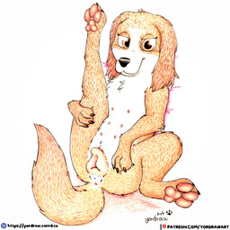 3_toes animal_genitalia animal_vulva anus black_nose brown_body brown_fur canine_genitalia canine_vulva claws feet female feral foot_fetish fur genitals leg_grab legs_in_air legs_up looking_at_viewer nipples patreon_logo patreon_username pawpads paws pink_anus pink_nipples pink_pawpads pink_vulva presenting presenting_vulva smile smiling_at_viewer solo spread_legs spreading text toes vulva yordraw patreon the_queen's_corgi wanda_(the_queen's_corgi) canid canine canis domestic_dog mammal hi_res traditional_media_(artwork) url