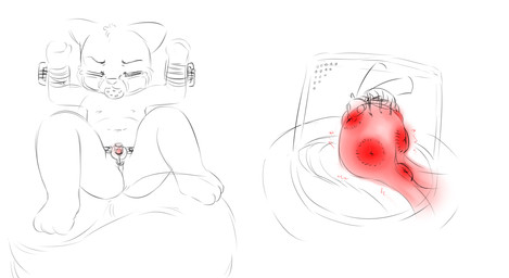 abuse anthro ball_gag bdsm bodily_fluids bondage bound child_abuse clit_torture clitoral_hood clitoris female forced forced_bondage forced_clit_torture forced_encasement forced_exposure forced_gag forced_muzzle forced_penetration forced_pussy_torture forced_spreading forced_spreading_arms forced_spreading_legs forced_to_expose_self gag genital_torture genitals loli pain pained_expression penetration pussy_torture rape sex simple_background slave solo sting tears tears_of_pain teary_eyes torture vulva young young_anthro young_female supremekitten arthropod felid feline hymenopteran insect mammal wasp hi_res