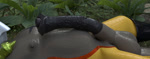 abdominal_bulge animal_genitalia animal_penis anthro balls balls_expansion big_balls big_flare big_penis bladder_penetration bladder_vore bodily_fluids body_invasion cock_vore cum cum_on_self cumshot ejaculation equine_genitalia equine_penis expansion flared_penis gaping gaping_urethra genital_expansion genital_fluids genitals grunting huge_balls huge_penis hyper hyper_genitalia hyper_penis infestation inside_balls living_insertion male medial_ring moan multiple_prey parasite penetration penile penile_penetration penis penis_expansion solo throbbing throbbing_penis urethra urethra_worm urethral urethral_penetration vein veiny_penis vore graventhax sound_warning sarkin_(graventhax) crocodile crocodilian reptile scalie worm 3d_(artwork) 3d_animation animated digital_media_(artwork) high_framerate long_playtime sound webm