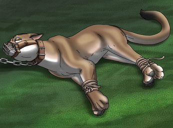 ambiguous_gender bdsm bondage bound captured chain feral feral_bondage leash muzzle_(object) muzzled rope solo wire_basket_muzzle raptorroper tovu cougar felid feline mammal hi_res