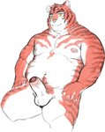 anthro balls belly erection foreskin genitals male moobs navel nipples overweight overweight_anthro overweight_male penis simple_background solo white_background nunudodo felid mammal pantherine tiger 2019 hi_res