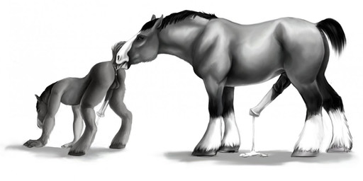 all_fours anal anal_orgasm animal_genitalia animal_penis anthro anthro_on_feral anus backsack balls bestiality bodily_fluids butt cum cum_on_ground cum_while_rimmed cum_while_rimming cumshot dominant duo ejaculation equine_genitalia equine_penis erection feral feral_rimming_anthro from_behind_position genital_fluids genitals hands-free hooves intraspecies intraspecies_bestiality larger_male licking looking_pleasured male male/male male_rimming_male mane master nude oral orgasm penis precum quadruped rimming saliva sex side_view simple_background size_difference smaller_male submissive tail tongue tongue_out white_background eriatarka brutus_(valmir) valmir draft_horse equid equine horse mammal greyscale monochrome