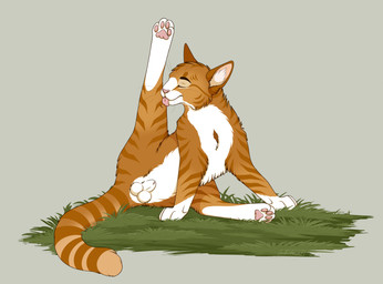 animal_genitalia balls cheek_tuft cleaning duo eyes_closed facial_tuft feral fluffy fully_sheathed fur genitals grass inner_ear_fluff licking male nature on_ground orange_body orange_fur outside pawpads paws plant pose presenting quadruped relaxing self_cleaning self_lick sheath simple_background spread_legs spreading stretching striped_body striped_fur stripes tongue tuft whiskers white_body white_fur whitecat domestic_cat felid feline felis mammal absurd_res digital_drawing_(artwork) digital_media_(artwork) hi_res signature