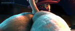 anthro big_butt blinking blue_body blue_fur blurred_background butt close-up clothing female fur hat headgear headwear looking_at_viewer looking_back looking_back_at_viewer pink_eyes shaking_butt solo tail witch_hat marcsello palworld pocketpair katress pal_(species) 3d_(artwork) 3d_animation animated digital_media_(artwork) hi_res no_sound short_playtime webm