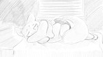 16:9 animal_crossing anthro biped blush bodily_fluids clothed clothing dragonweirdo embrace embracing_object embracing_pillow fur hi_res lying male mammal marshal_(animal_crossing) monochrome nintendo on_side pillow rodent sciurid solo sweat sweatdrop tail tree_squirrel widescreen